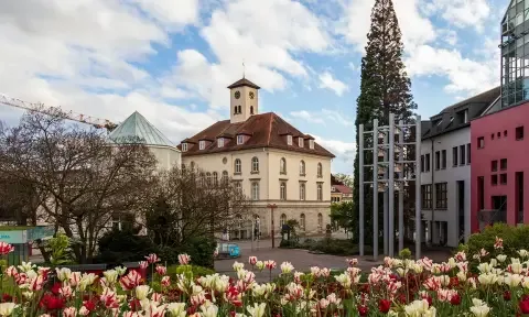 Sprzątanie sklepu Sindelfingen